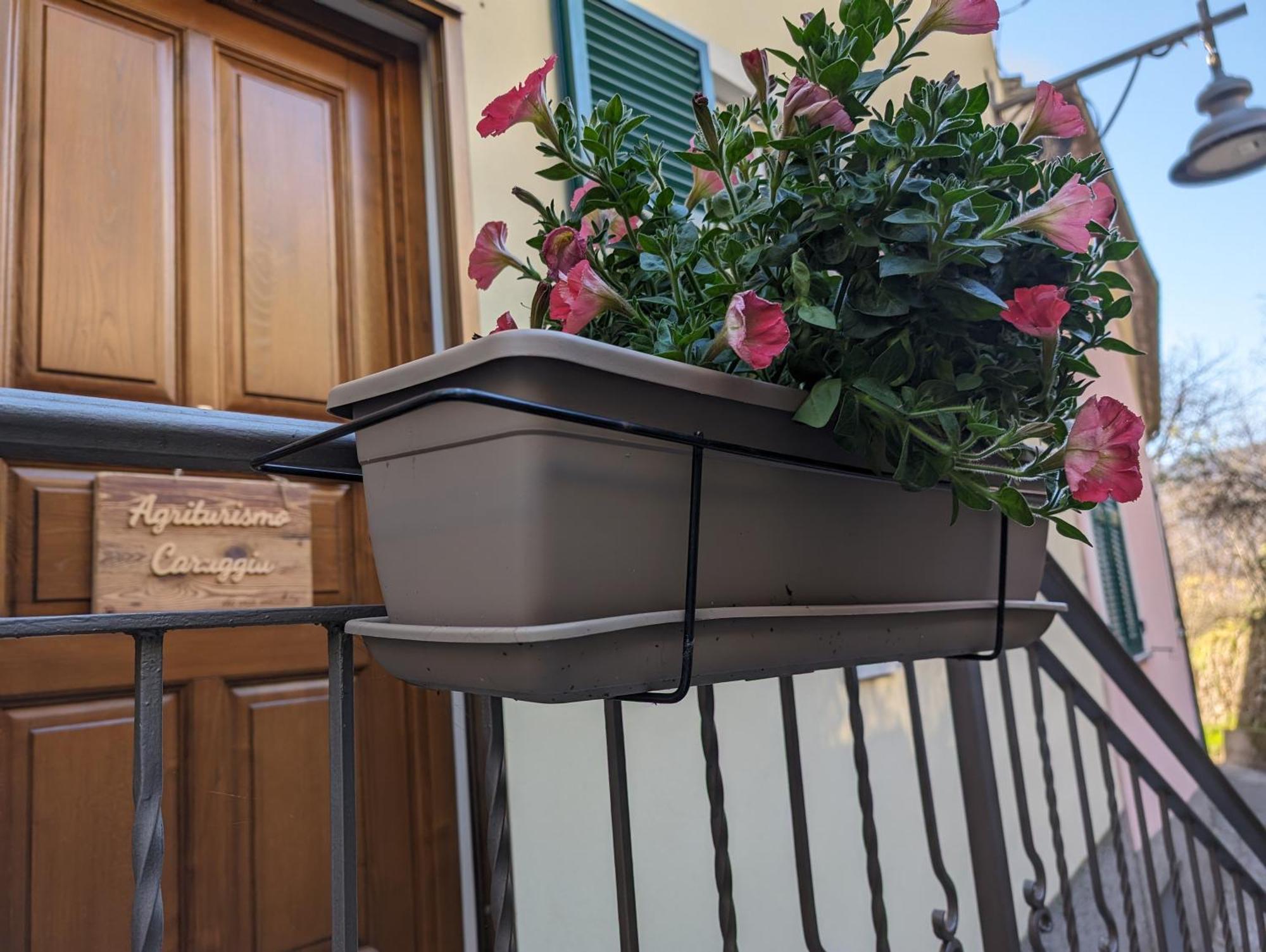 Agriturismo Caruggiu Di Via Vecchia Orco Feglino Ngoại thất bức ảnh