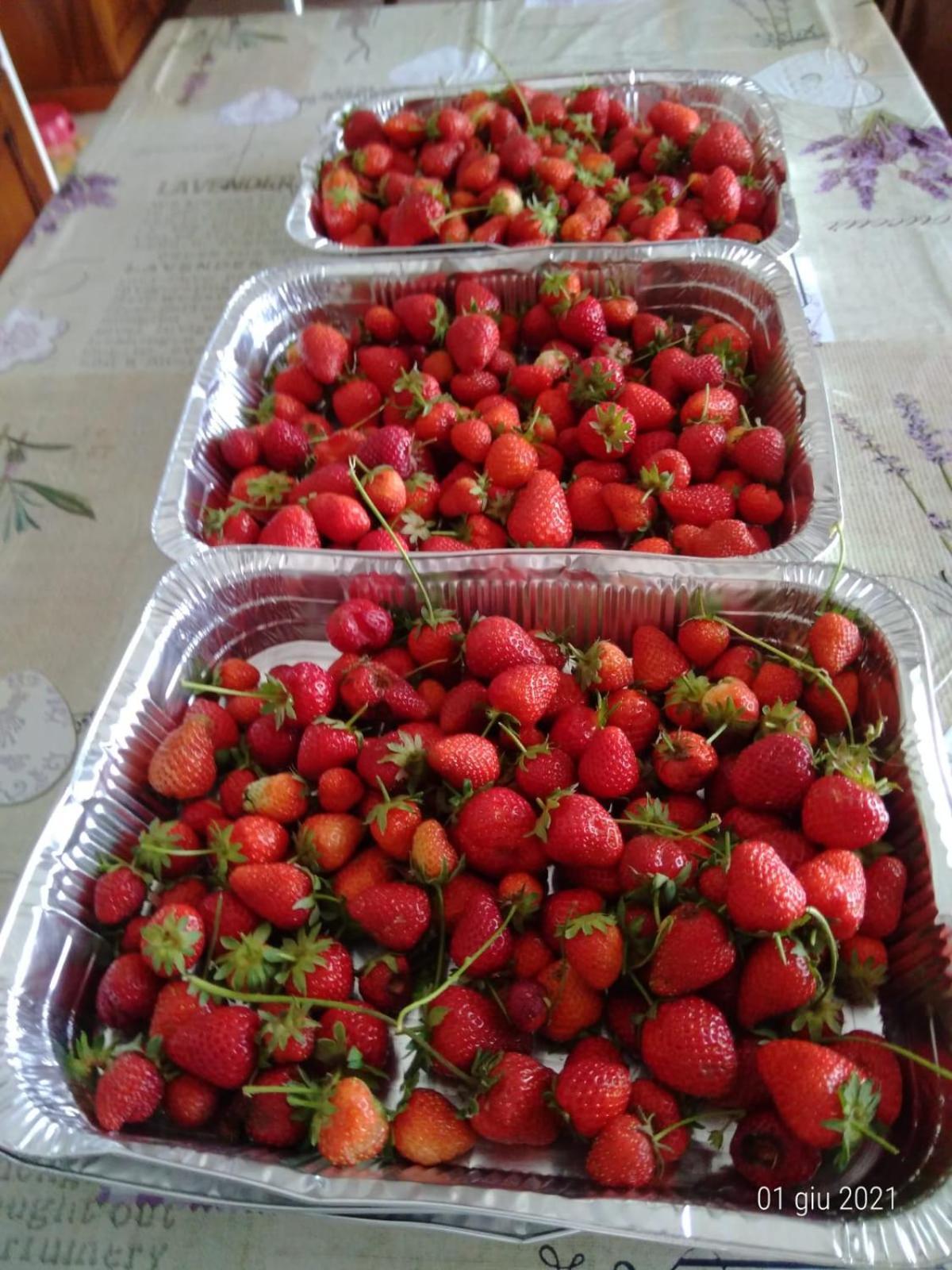Agriturismo Caruggiu Di Via Vecchia Orco Feglino Ngoại thất bức ảnh